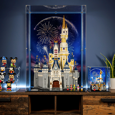 Display cases and solutions for LEGO® Harry Potter — Wicked Brick